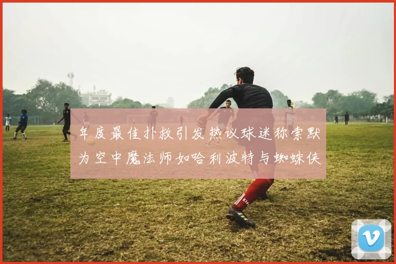 年度最佳扑救引发热议球迷称索默为空中魔法师如哈利波特与蜘蛛侠